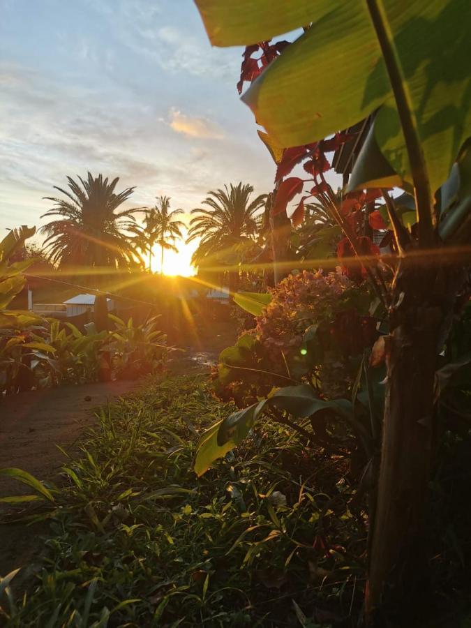 Hostal Tu'U Koihu Hanga Roa Buitenkant foto