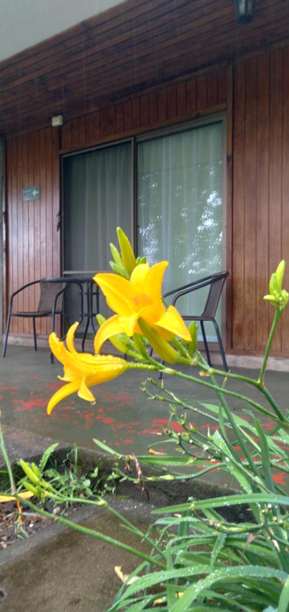 Hostal Tu'U Koihu Hanga Roa Buitenkant foto