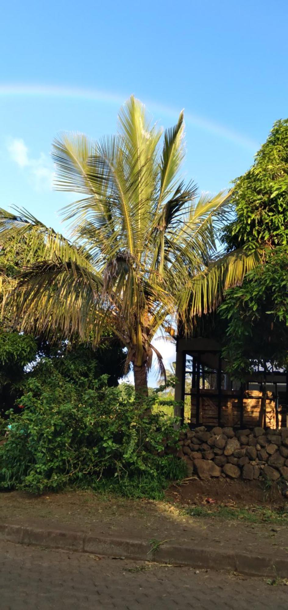 Hostal Tu'U Koihu Hanga Roa Buitenkant foto