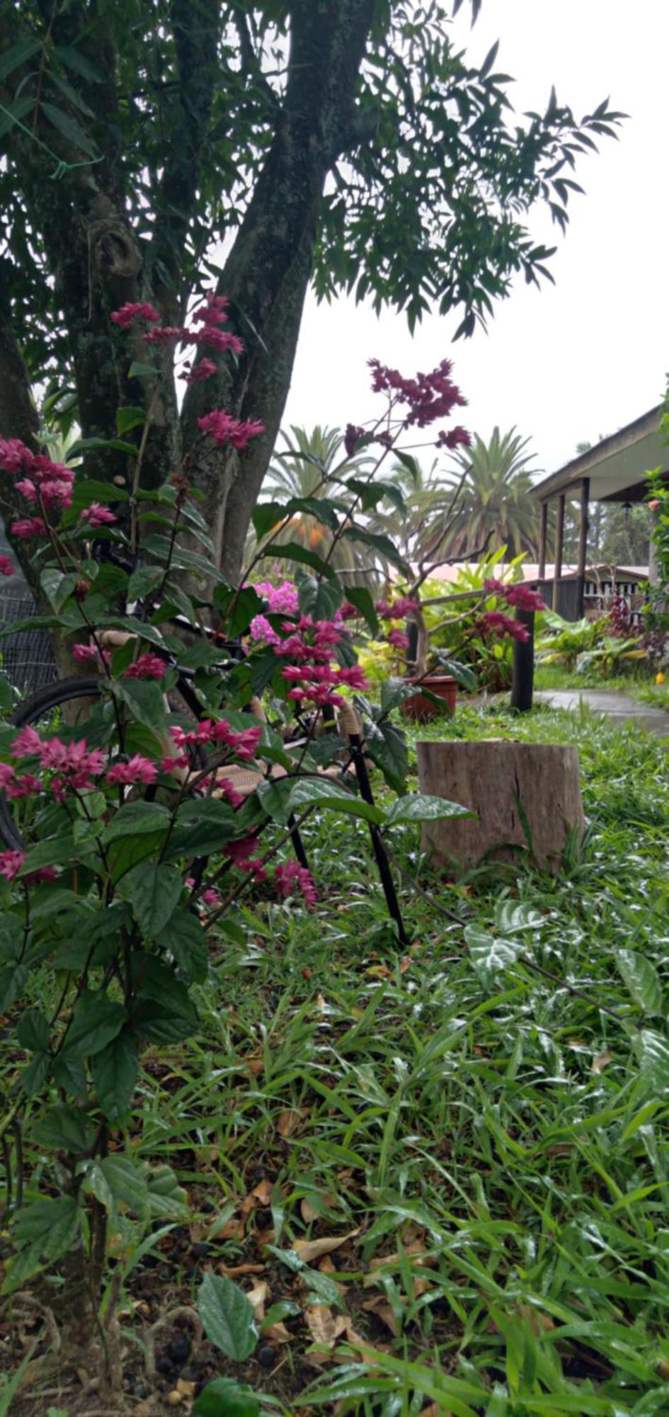 Hostal Tu'U Koihu Hanga Roa Buitenkant foto