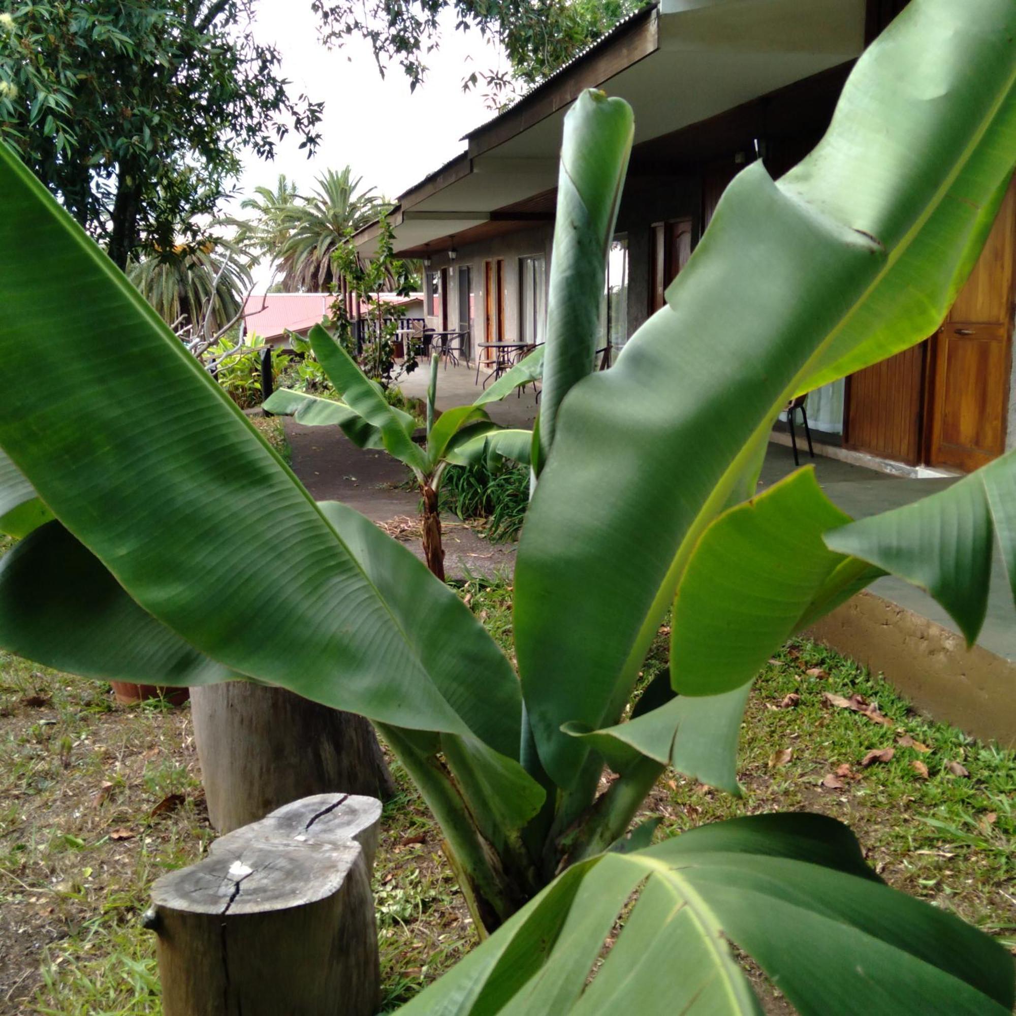 Hostal Tu'U Koihu Hanga Roa Buitenkant foto